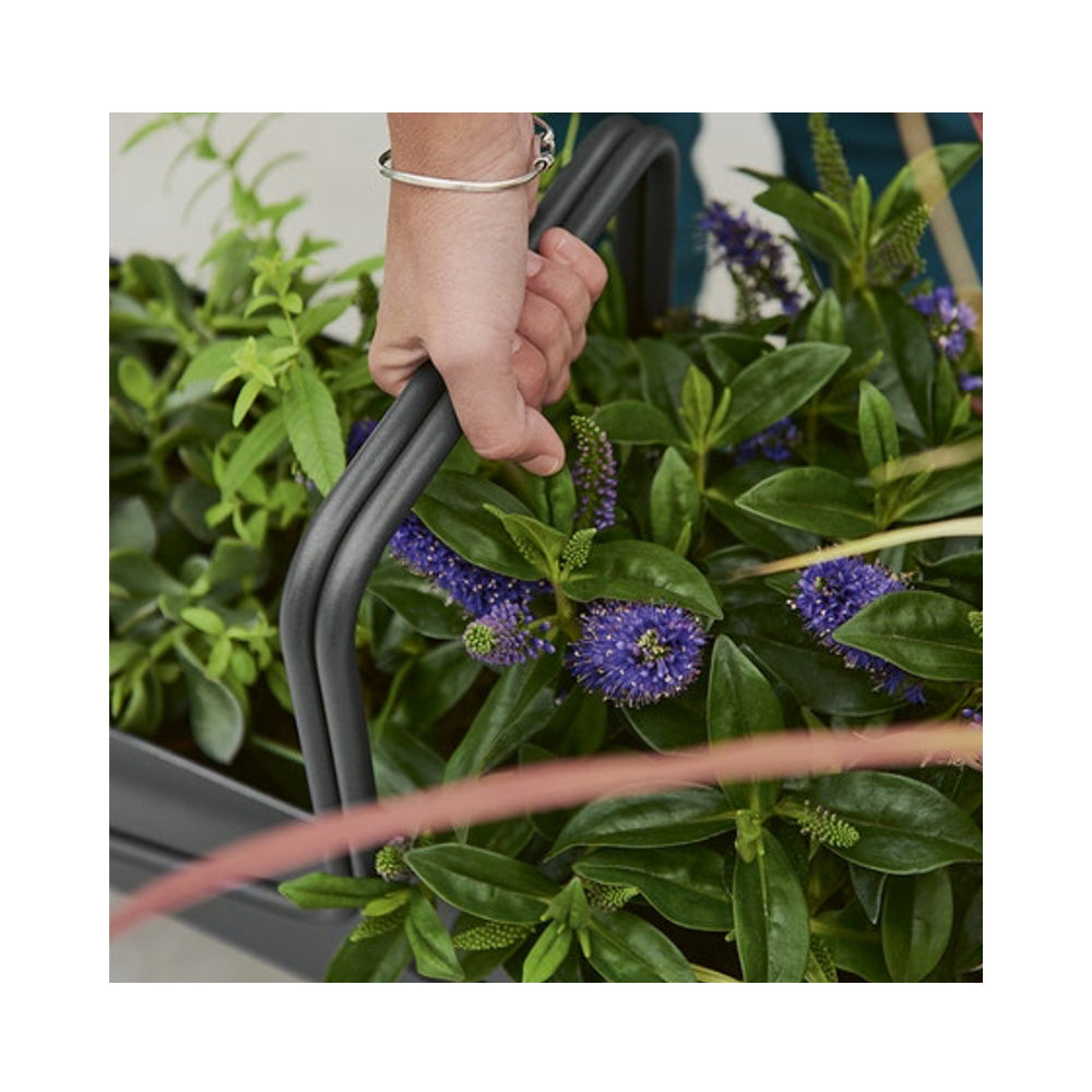 Einzelstücke Fermob Blumenkasten lang – einzigart