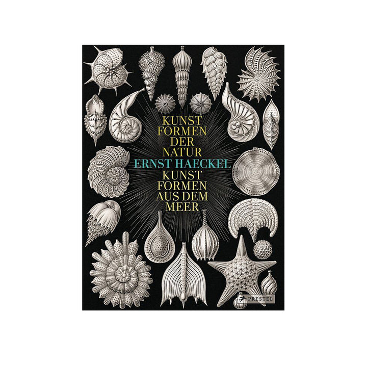 Ernst Haeckel: Kunstformen der Natur – Kunstformen aus dem Meer